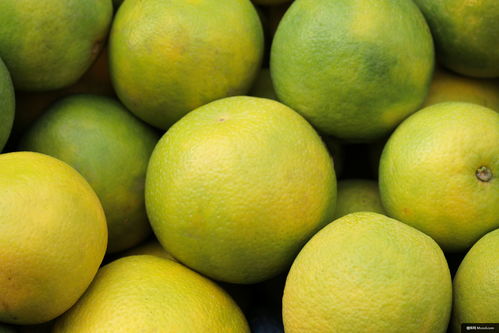 柑橘類水果 水果 食品 植物 葡萄柚 生產(chǎn) 美食攝影圖片圖片壁紙 美食攝影圖片圖片壁紙