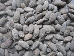 九大堅(jiān)果助你成功減肥 健康零食的智慧選擇